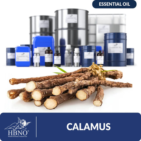 Calamus Essential Oil