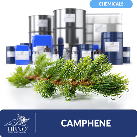 Camphene