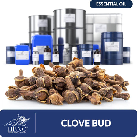 Clove Bud Essential Oil