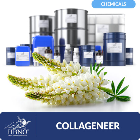 Collageneer