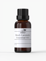 Purchase Lavandin Dutch Lavender Essential Oil