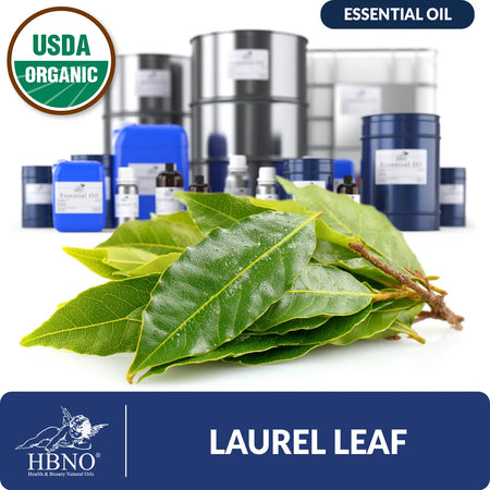 Organic Laurel Leaf Essential Oil