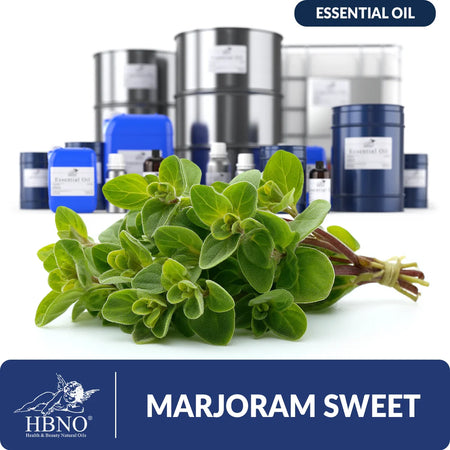 Sweet Marjoram Essential Oil