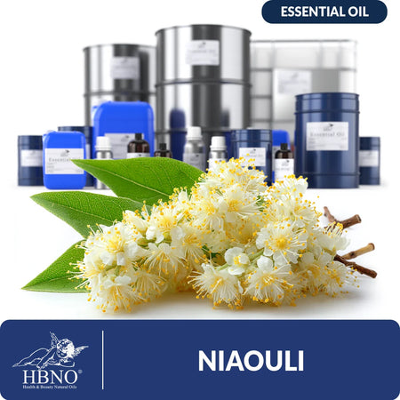 Niaouli Essential Oil