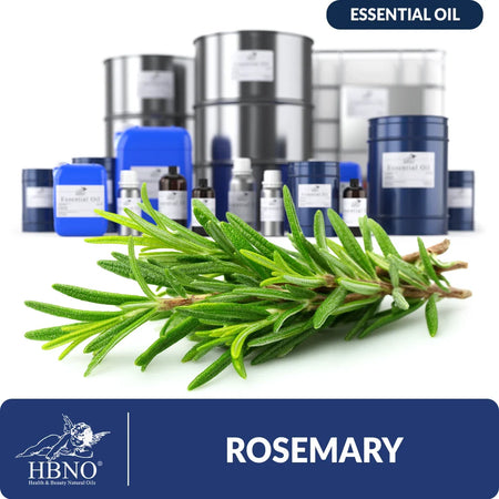 Rosemary Camphor Essential Oil