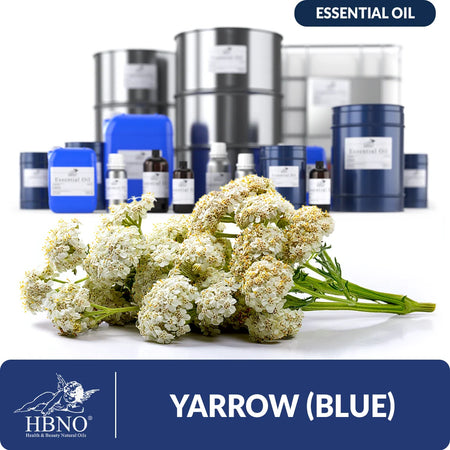 Blue Yarrow Essential Oil